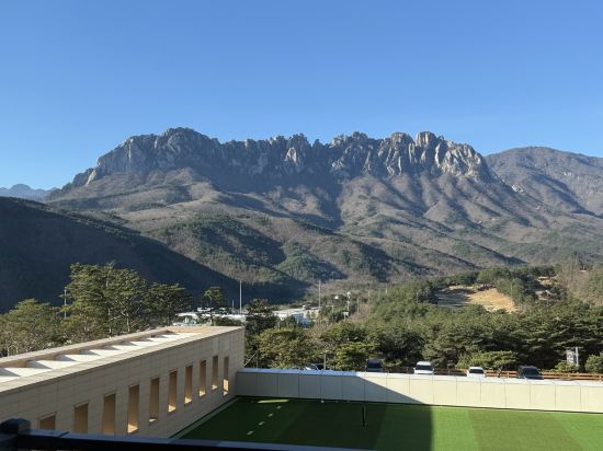 소노펠리체 델피노 고성 쿠폰