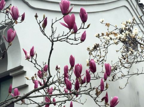 陽朔悦榕莊優惠