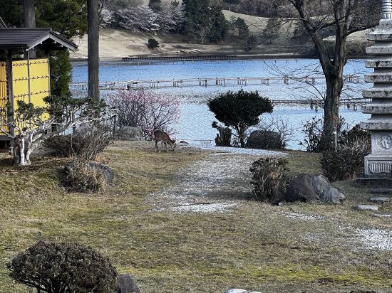 純和風旅亭　碧翠御苑 クーポン