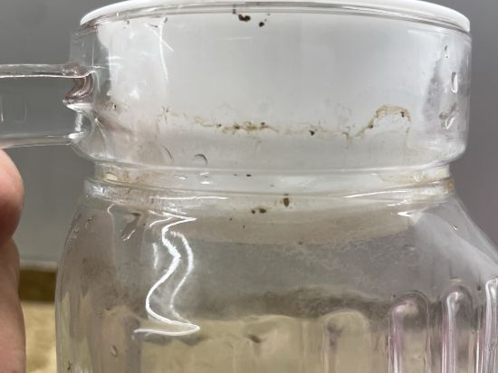 檳城藍天樓閣優惠