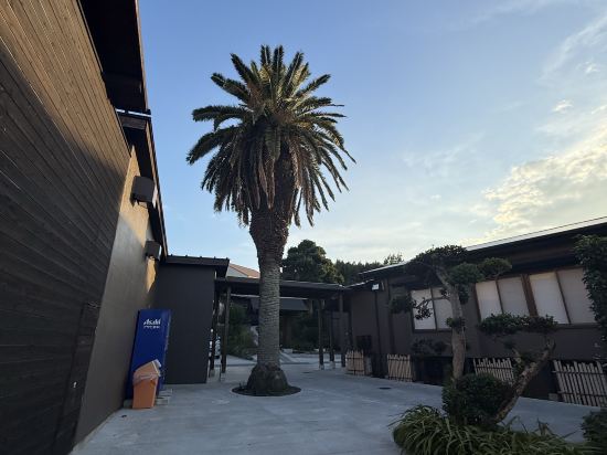 おさしみの宿　たろべ クーポン