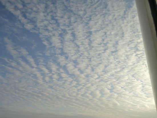 深圳鹽田凱悦酒店優惠