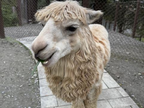 宜蘭綠舞國際觀光飯店優惠