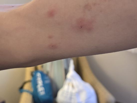 多倫多萬錦麗柏酒店優惠