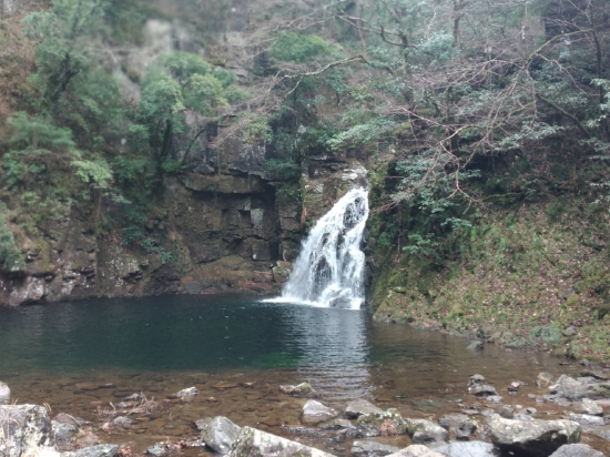 赤目温泉隠れの湯 対泉閣 クーポン