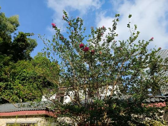 小璐智能酒店（肇慶七星巖風景區東門廣場店）優惠