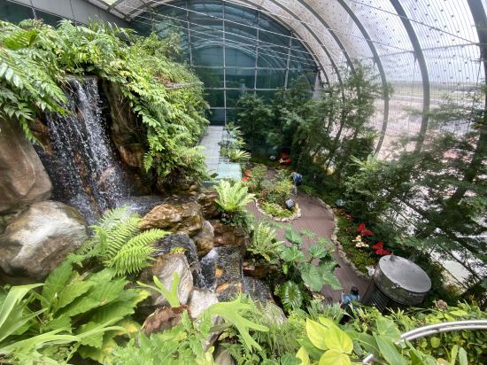 樟宜81酒店 （Staycation Approved）優惠