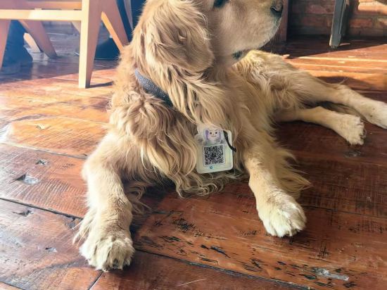 大理洱朵花園海景酒店優惠