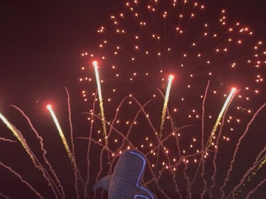 珠海長隆企鵝酒店優惠