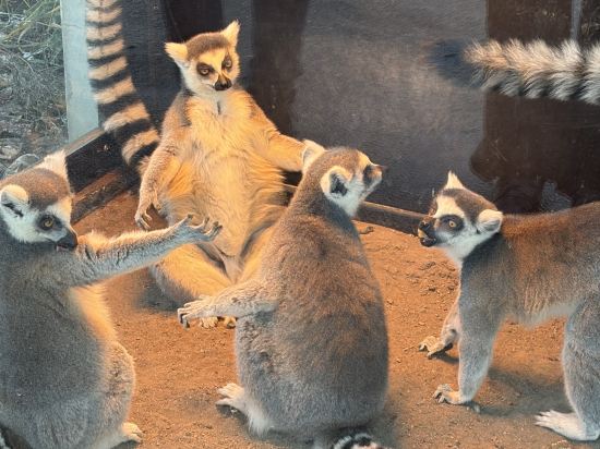 ホテルアマネク旭川　展望浴場「四季の湯」 クーポン