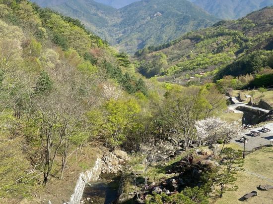 준성리조트 쿠폰