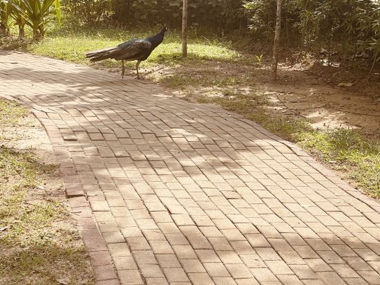 登嘉樓丹絨佳拉月之影度假村- 全球奢華精品酒店優惠