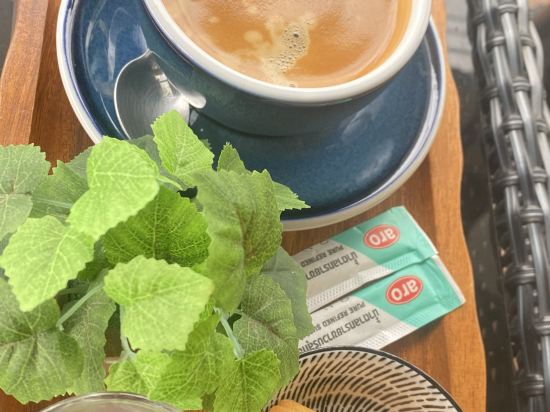 班布烏隆他尼大飯店優惠