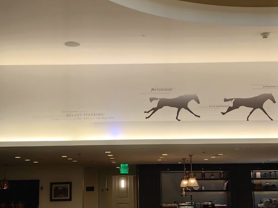 舊金山斯坦福庭院酒店優惠