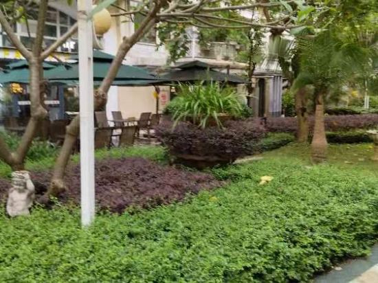 廣州桔樹·銘泰公寓優惠