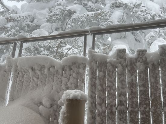 ラビスタ大雪山 クーポン