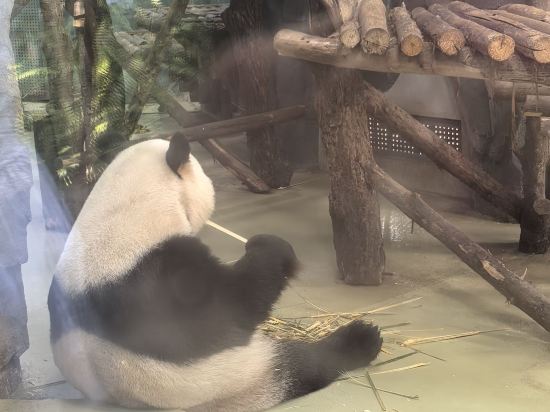 成都武侯雙楠亞朵輕居酒店優惠