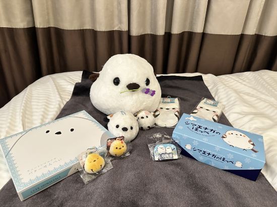 ホテルマイステイズ札幌駅北口 クーポン