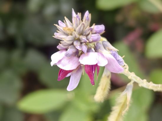 漫州酒店（黔西水西公園店）優惠