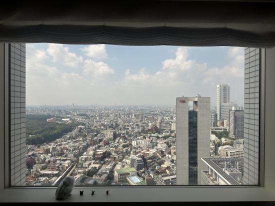 小田急ホテルセンチュリーサザンタワー クーポン