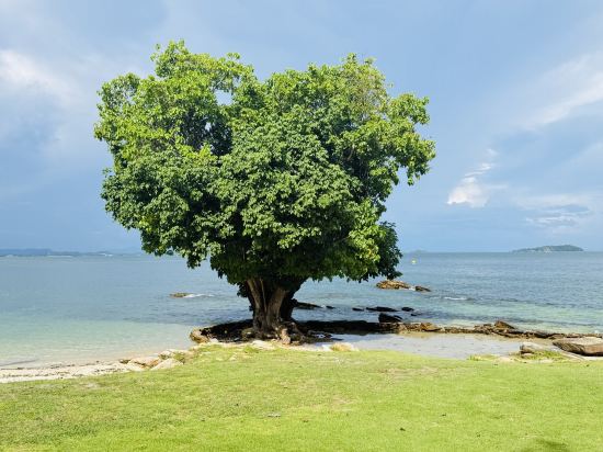 沙美島薩凱海灘度假村優惠
