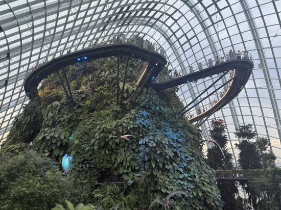 新加坡盛捷明古連服務公寓優惠