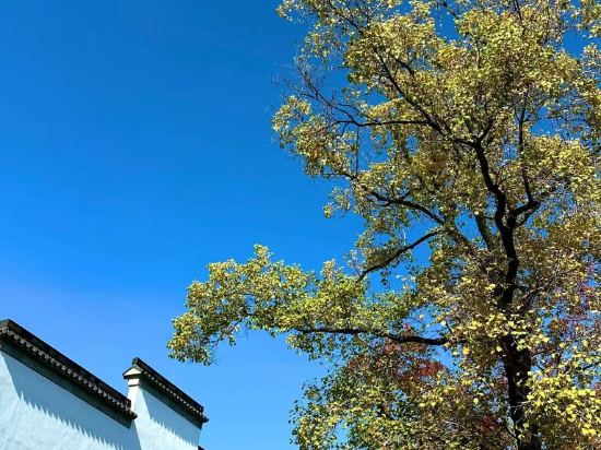 珠海璃上飯店（情侶路海濱泳場店）優惠