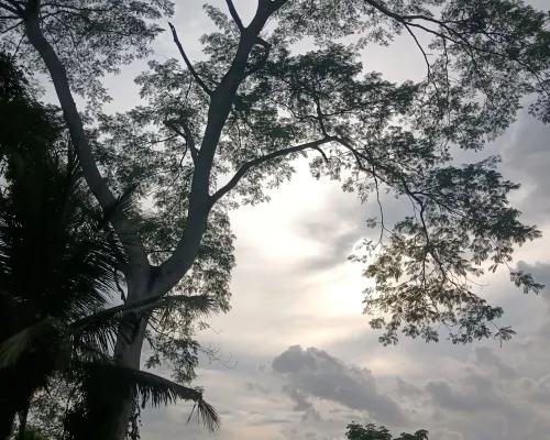Prashanti Bali بالقرب من الفندق Photos