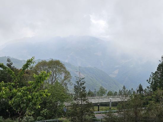 南投清境頂代格拉斯莊園優惠