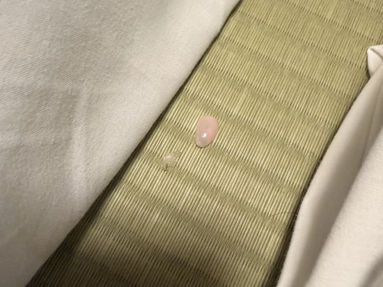 第一滝本館 クーポン