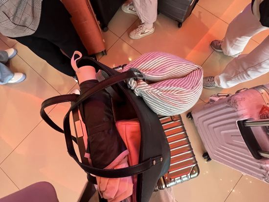 芙蓉棕櫚酒店優惠