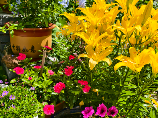 多倫吉嘉賓館優惠