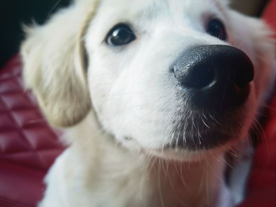 維也納酒店（句容茅山風景區朝陽路店）優惠