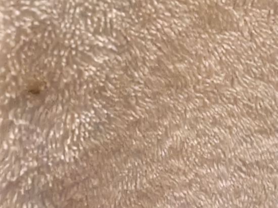 上海虹橋綠地鉑瑞公寓優惠