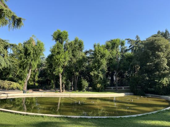 馬德里皮歐王子酒店優惠