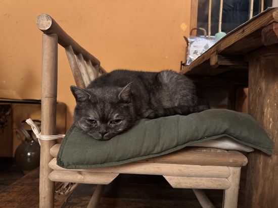 西湖出釉民宿優惠