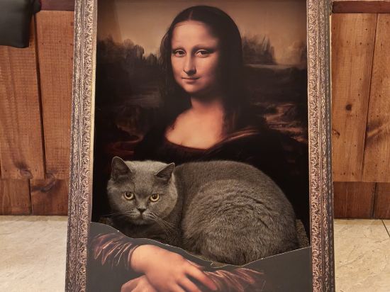 神祕圖鑒·SecretLand飯店（中山路步行街輪渡碼頭店）優惠