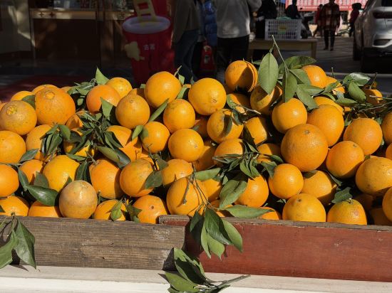 吉安希爾頓歡朋酒店優惠