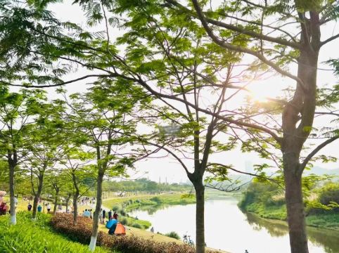 深圳坪山格蘭雲天國際酒店優惠