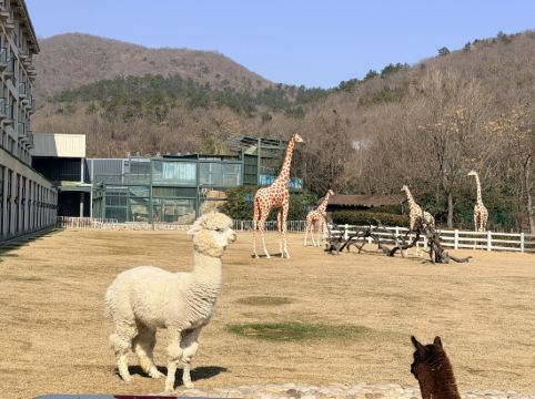 南京紫清湖温泉度假酒店優惠
