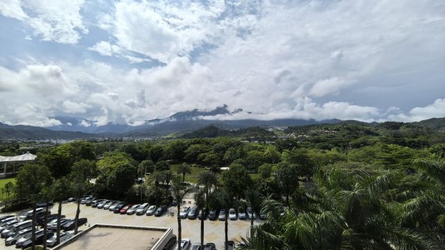 review picture