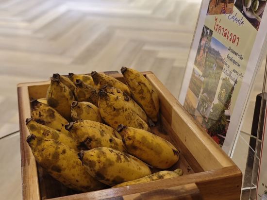 清萊曼提尼度假村優惠