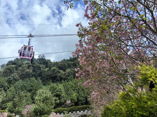 南投日月潭月潭小棧民宿優惠