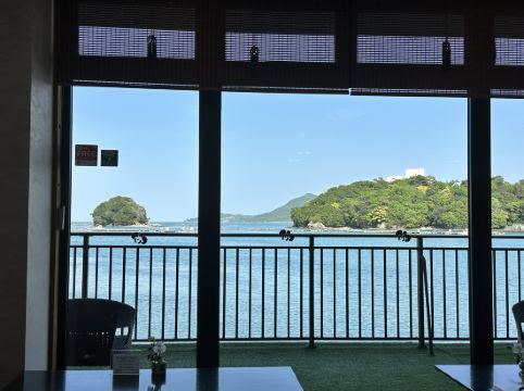 胡蝶蘭 クーポン