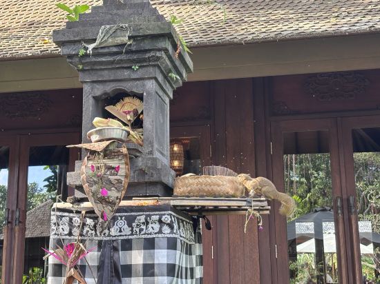 巴釐凱悦酒店優惠