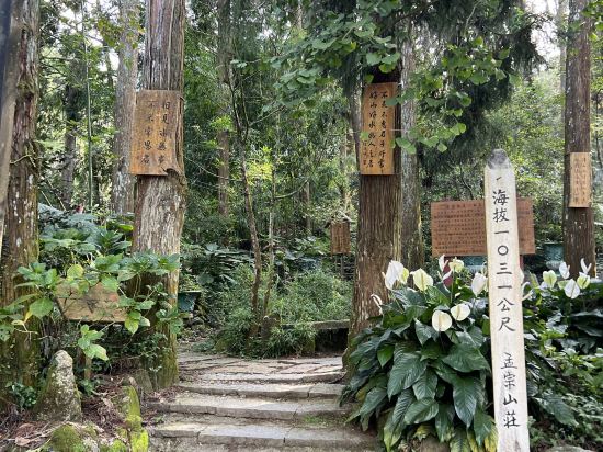 南投溪頭孟宗山莊大飯店優惠