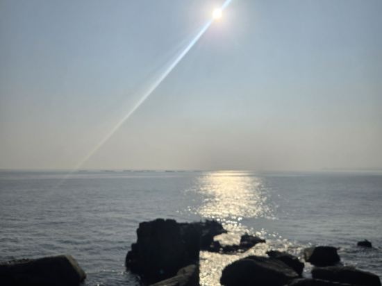 속초 마리나베이호텔 쿠폰