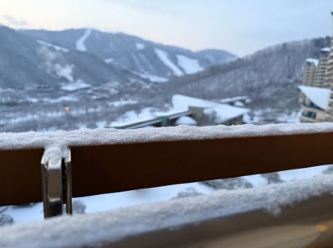소노펠리체 비발디파크 쿠폰