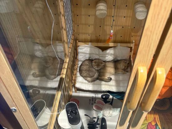 秋果飯店（北京三元橋燕莎店）優惠