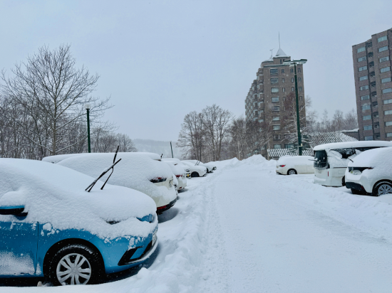 ワン・ニセコ・リゾート・タワーズ クーポン